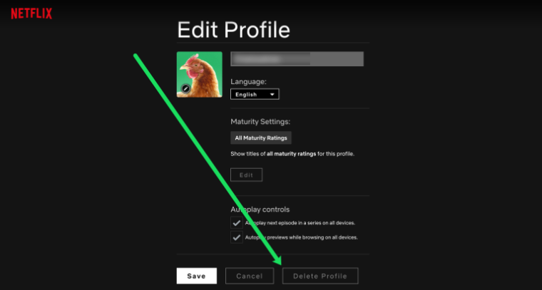 Guide On How To Delete Netflix Profile?